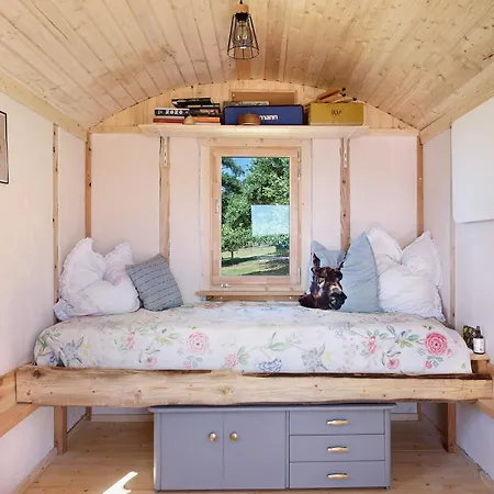Tiny House Auf Dem Falkenhof * Eisenbach (Breisgau-Hochschwarzwald)
