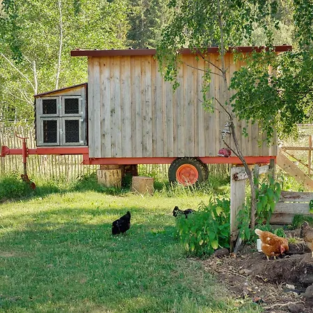 Tiny House Auf Dem Falkenhof Vakantiehuis