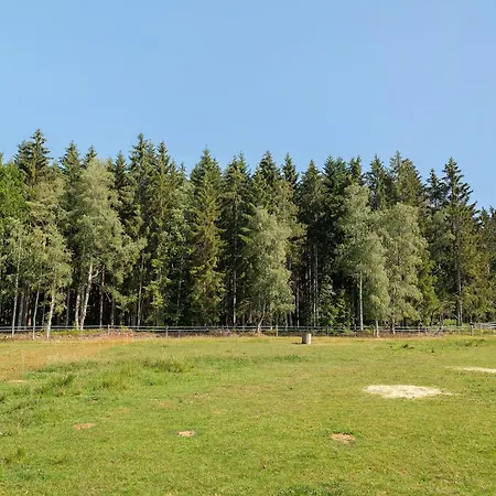 Tiny House Auf Dem Falkenhof Eisenbach (Breisgau-Hochschwarzwald)